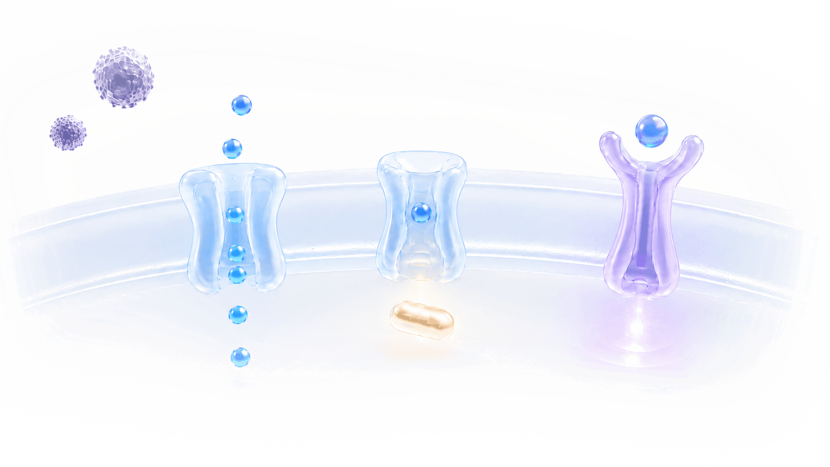 Cell Clinics illustration of receptors and signalling pathways at a cell membrane